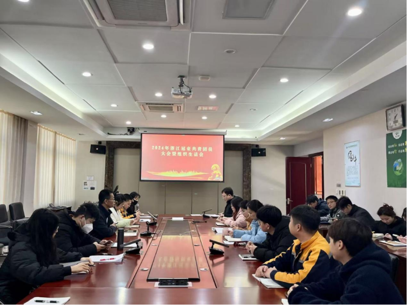 浙江冠豪召開團員和青年主題教育專題組織生活會